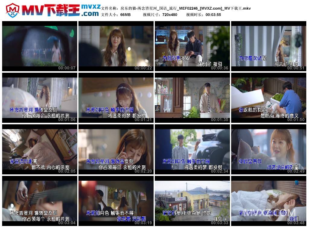 房东的猫-所念皆星河_国语_流行_MEF02246